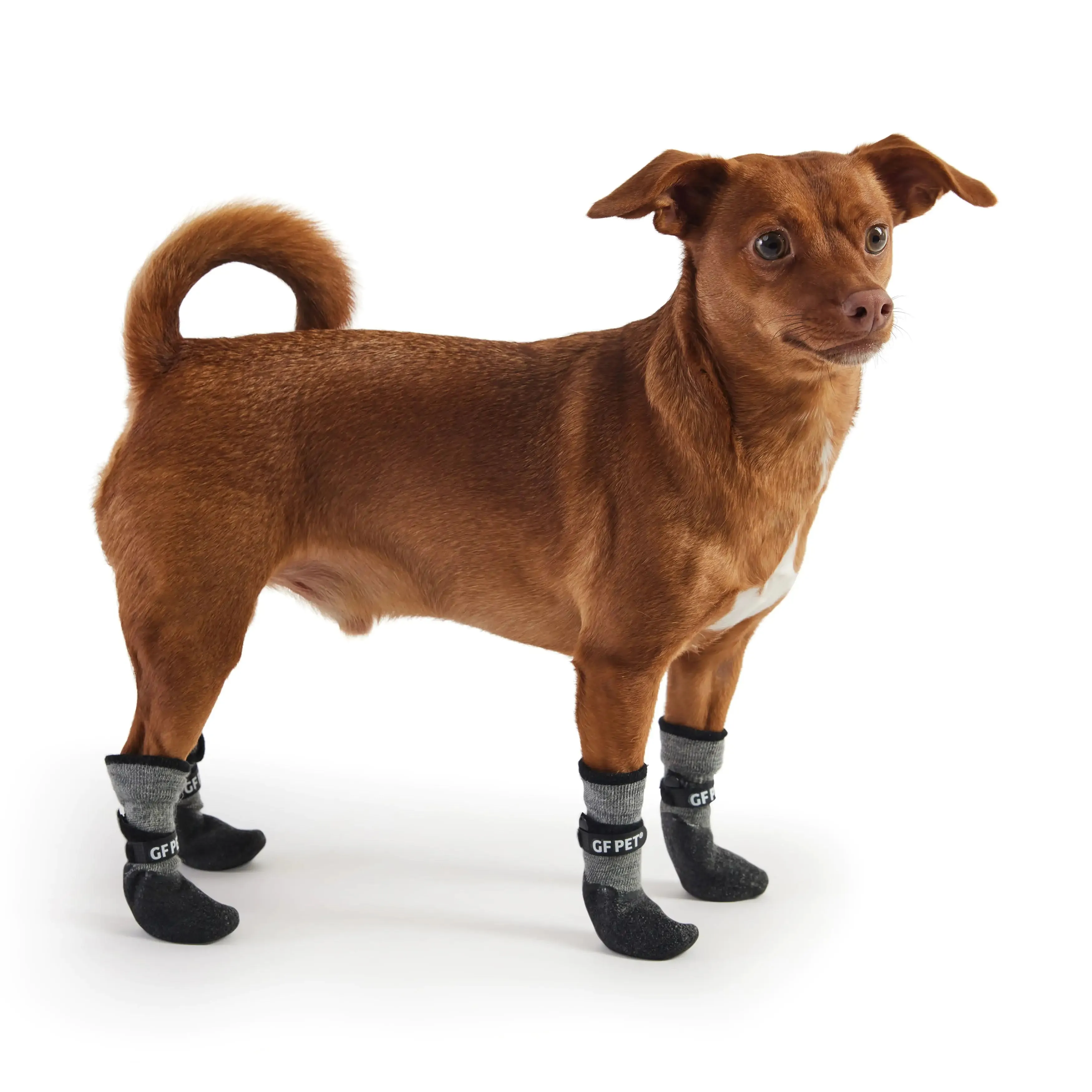 All-Terrain Dog Boots w Built-In Sock - Charcoal